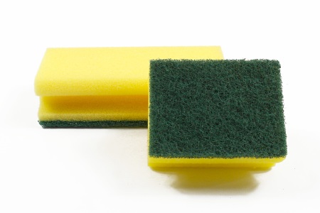 Griffschwam Scheuerpad